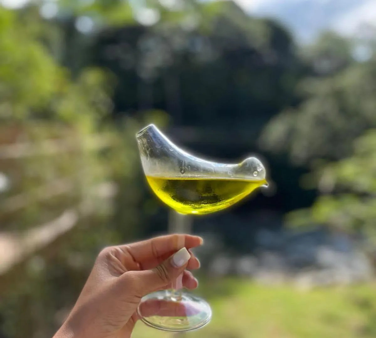 River Glamping Boutique Харабакоа Роскошный шатер